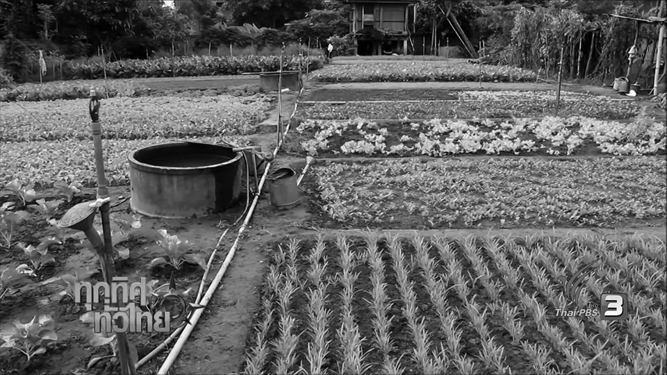 ประเด็นข่าว ( 8 พ.ย. 59)