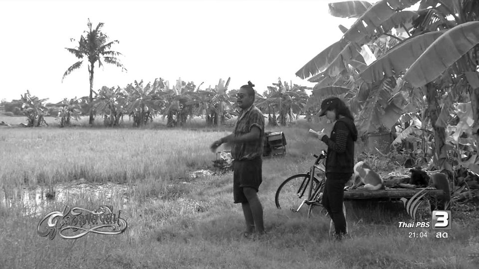 สู่ความยั่งยืน (10 พ.ย. 59)