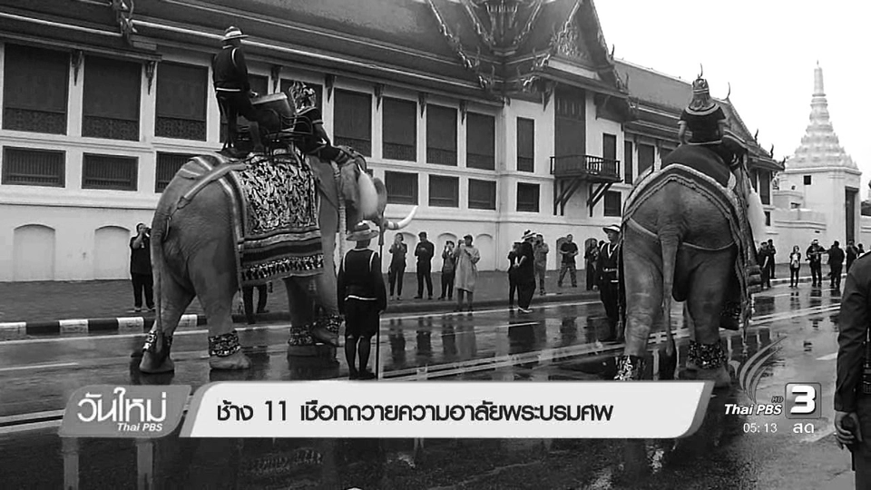 ช้าง 11 เชือกถวายความอาลัยพระบรมศพ