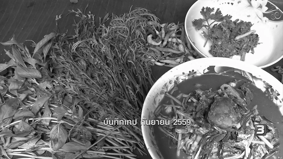 หญ้าอ้อยหนู