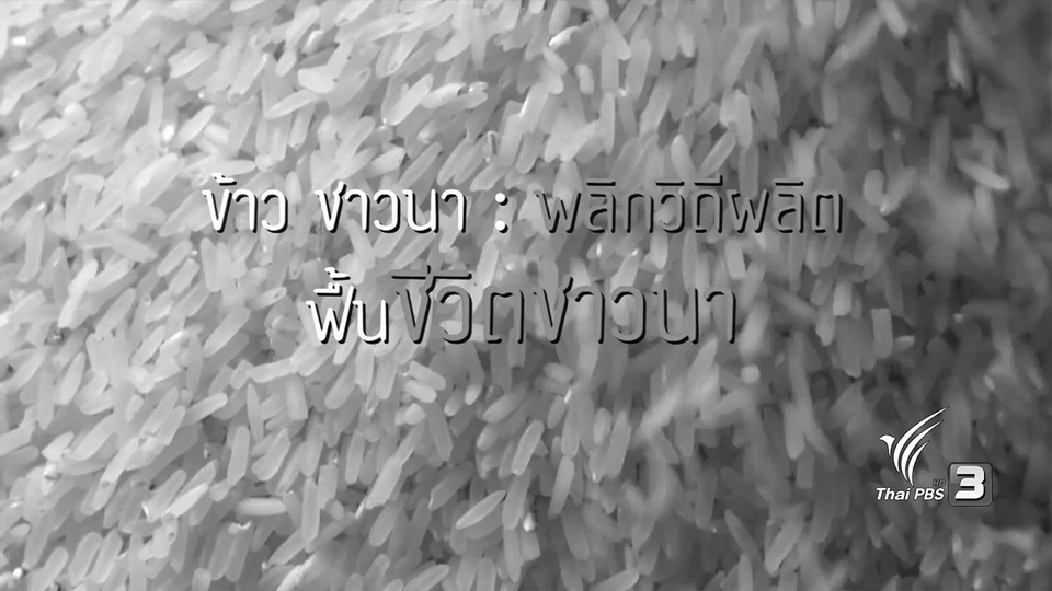 ข้าว ชาวนา : พลิกวิถีผลิต ฟื้นชีวิตชาวนา