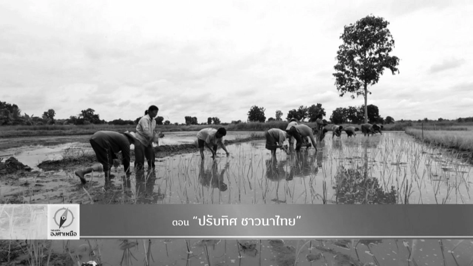 ปรับทิศ ชาวนาไทย​