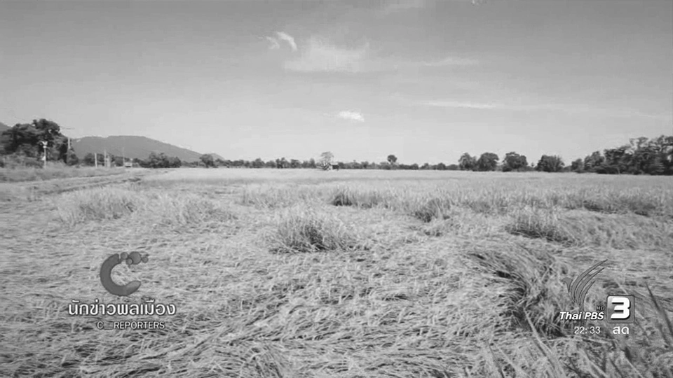 วัฏจักรชีวิตชาวนา จ.นครสวรรค์