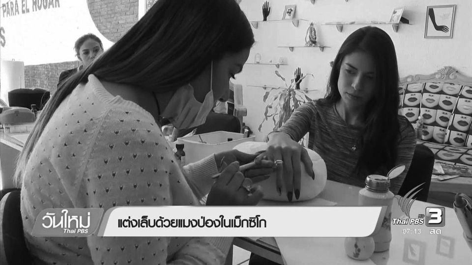 แต่งเล็บด้วยแมงป่องในเม็กซิโก