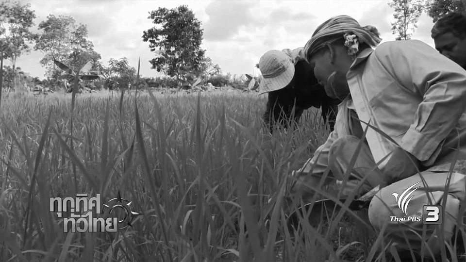 ประเด็นข่าว ( 14 พ.ย. 59)