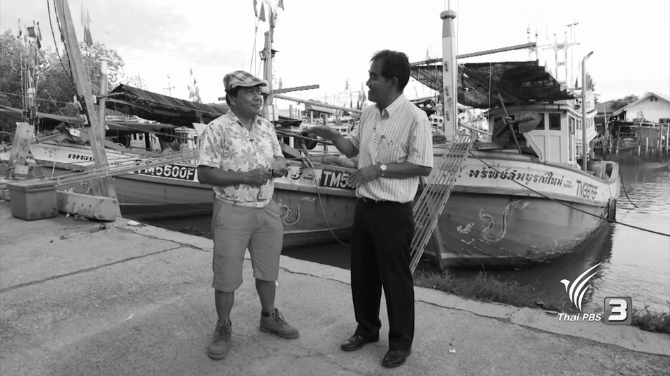 สำรวจราคาอาหารทะเล จ.เพชรบุรี