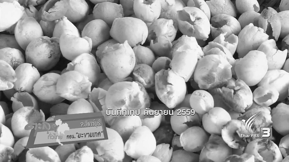 ตะลุยทั่วไทย : มะขามเทศ