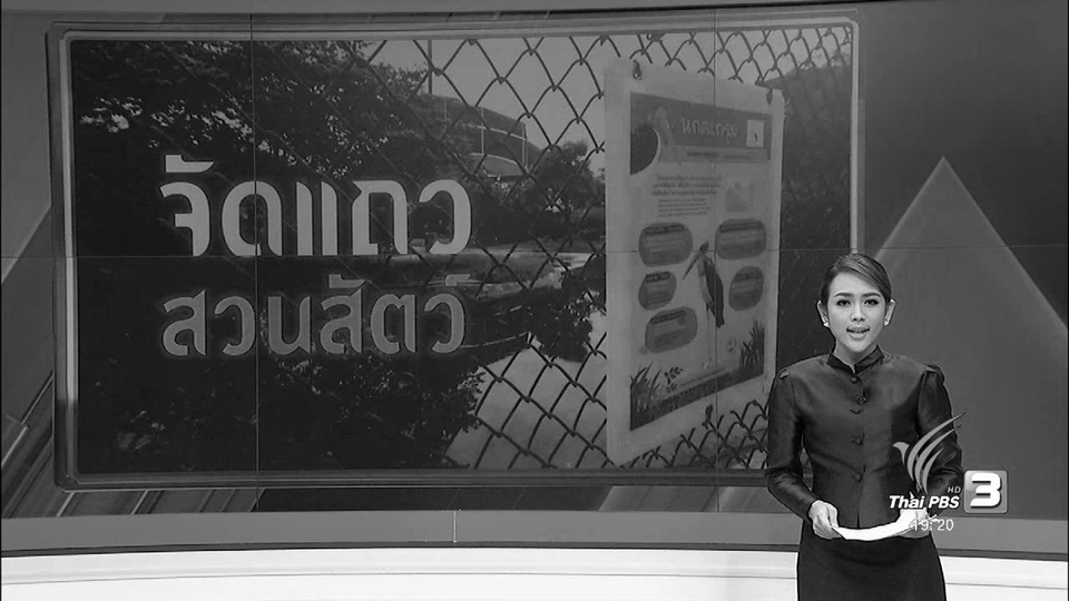 จัดแถวสวนสัตว์