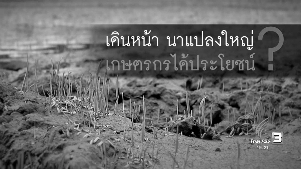 เดินหน้า นาแปลงใหญ่ เกษตรกรได้ประโยชน์