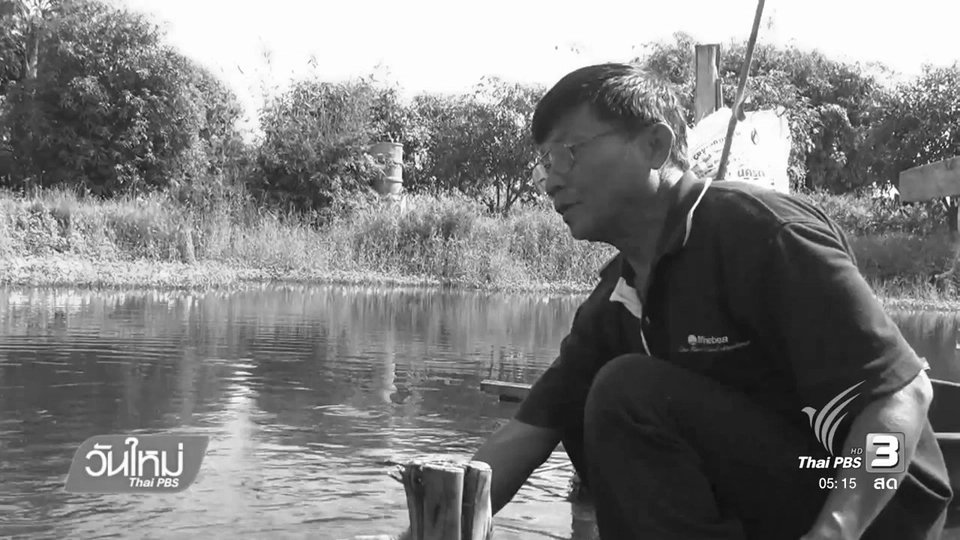 เกษตรกรอ่างทองเดินตามแนวเศรษฐกิจพอเพียง