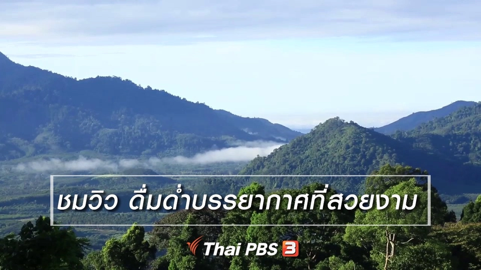 เรียนรู้วิถีไทย : ชมวิว ดื่มด่ำบรรยากาศที่สวยงาม