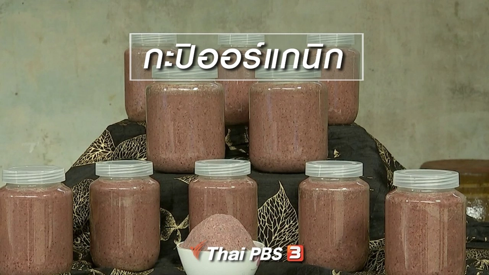 ผู้หญิงผู้สร้าง : กะปิออร์แกนิก