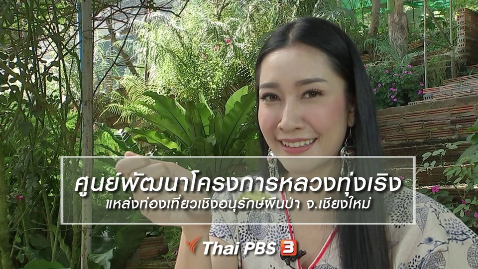 นารีสนทนา : ศูนย์พัฒนาโครงการหลวงทุ่งเริง แหล่งท่องเที่ยวเชิงอนุรักษ์ผืนป่า จ.เชียงใหม่