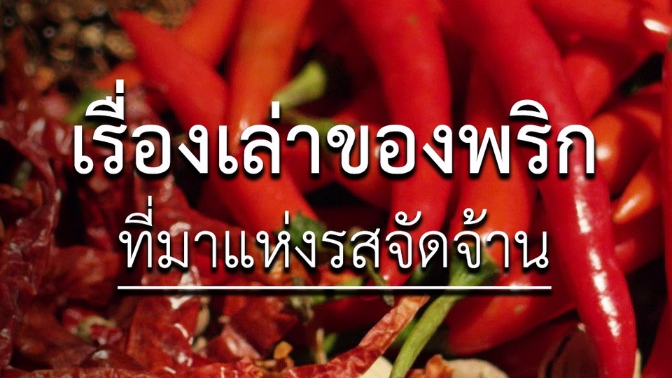 เรื่องเล่าของ "พริก" ที่มาแห่งรสจัดจ้าน