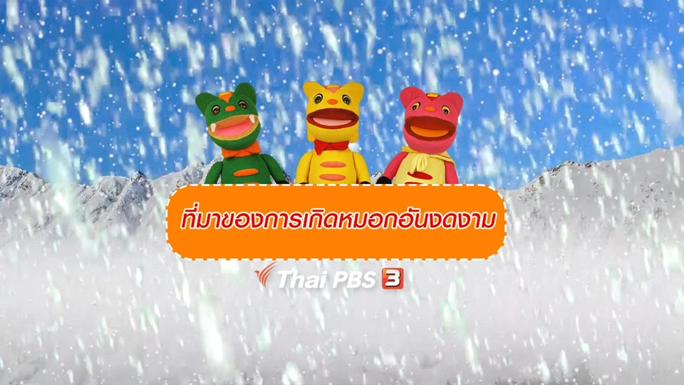 เกร็ดน่ารู้กับตาต้าตีตี้โตโต้ : ที่มาของการเกิดหมอกอันงดงาม