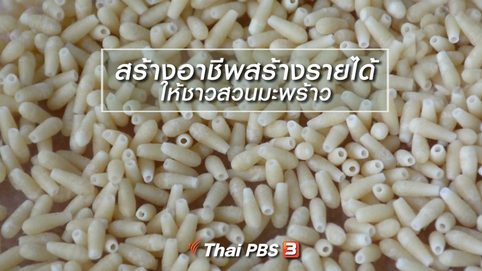 นารีสนทนา : สร้างอาชีพสร้างรายได้ ให้ชาวสวนมะพร้าว