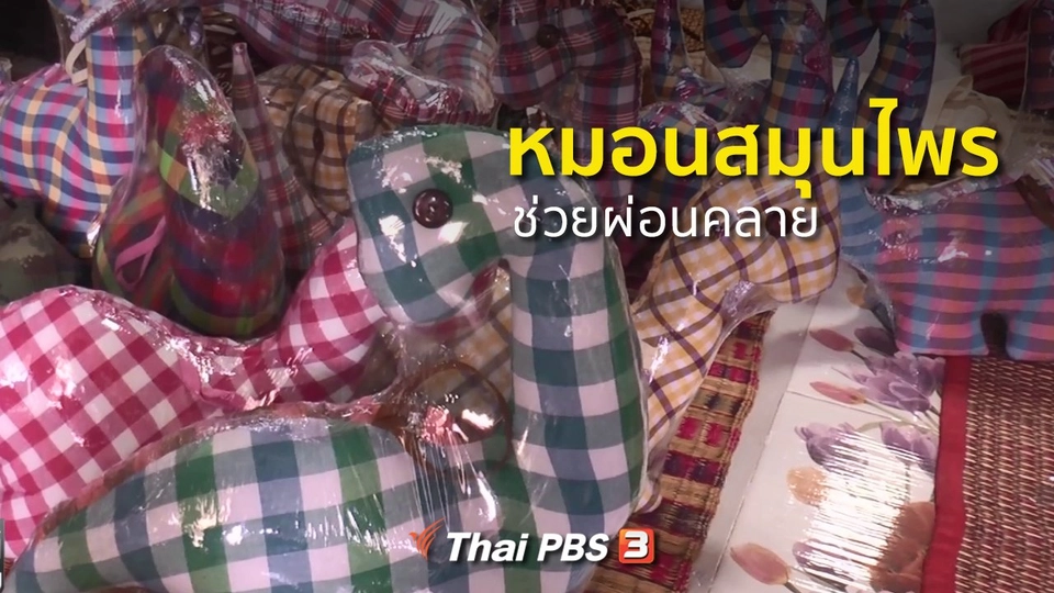 ชุมชนทั่วไทย : หมอนสมุนไพรช่วยผ่อนคลาย