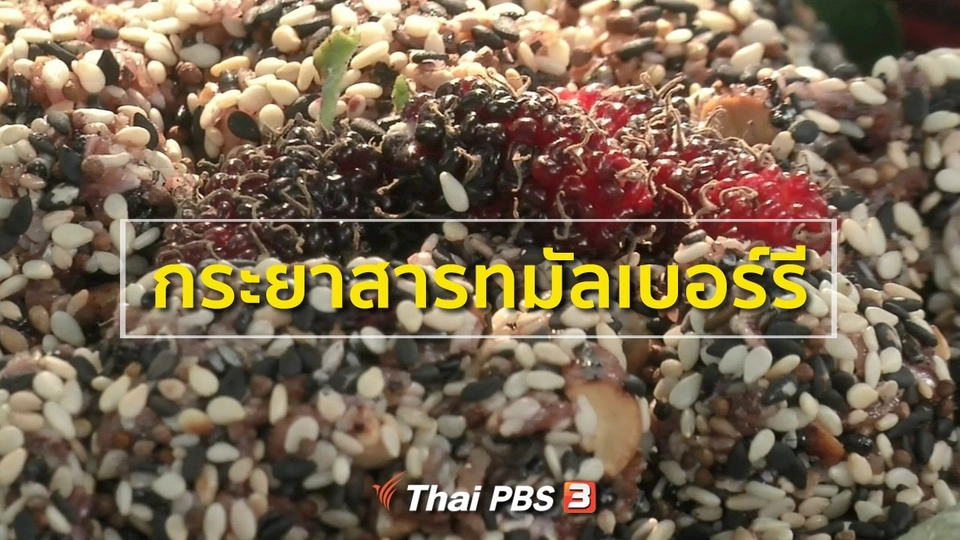 อาชีพทั่วไทย : กระยาสารทมัลเบอร์รี