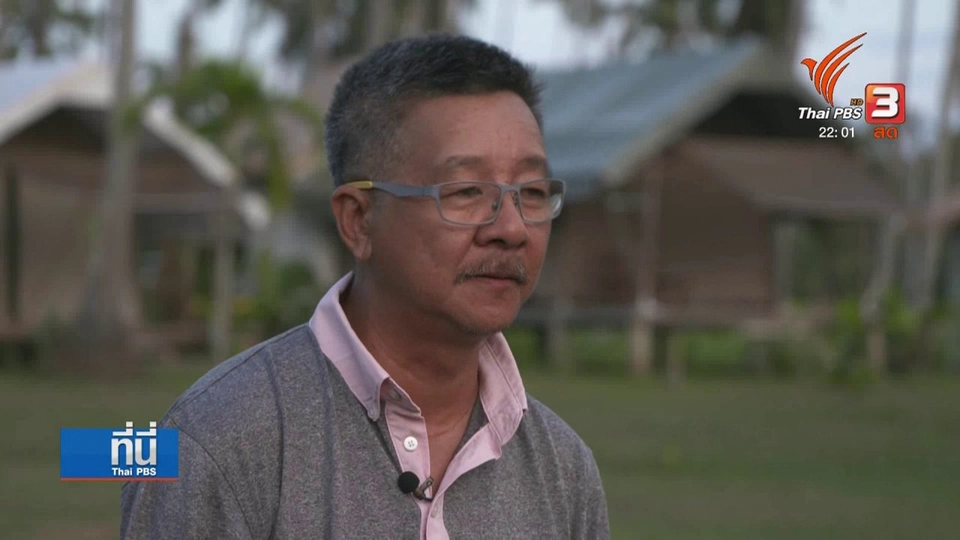 พื้นที่สีเขียวและการจัดการต้นไม้ในเมือง