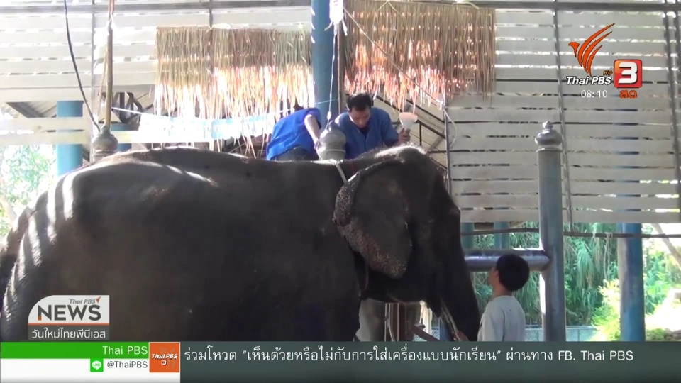 จับตาข่าวเด่น (22 ม.ค. 62)