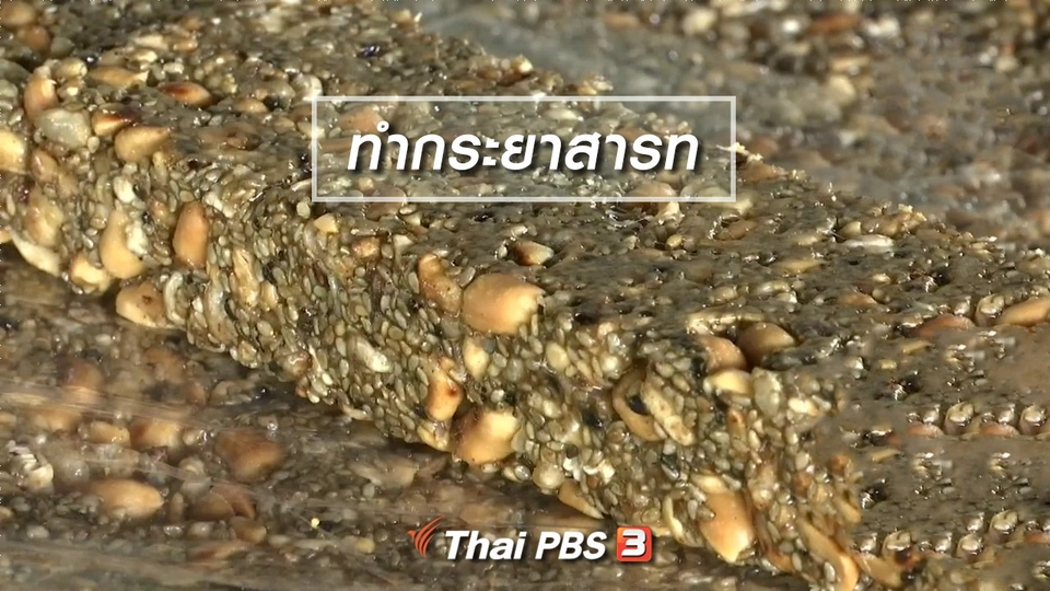 ตะลุยทั่วไทย : ทำกระยาสารท