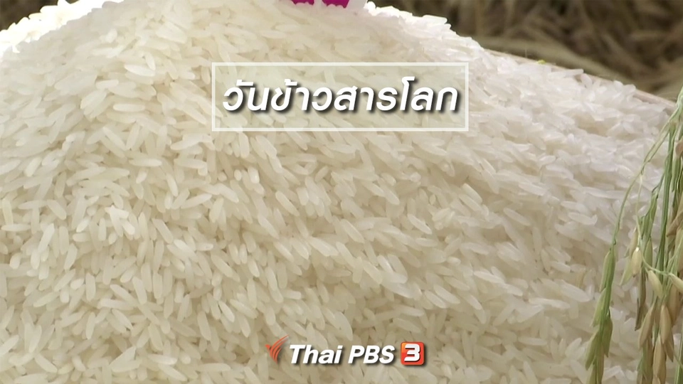 ตะลุยทั่วไทย : วันข้าวสารโลก
