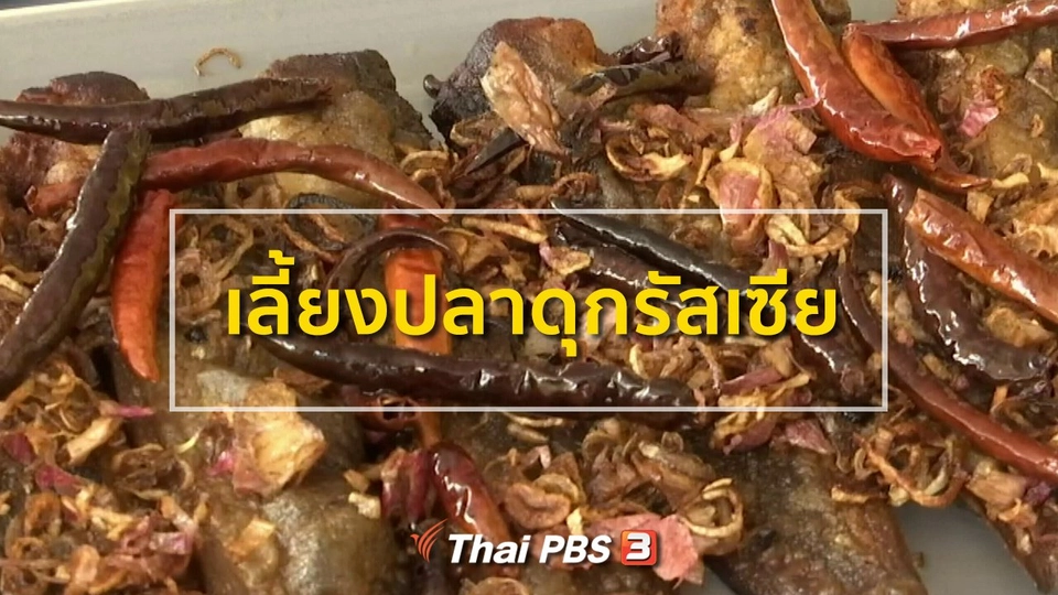 อาชีพทั่วไทย : เลี้ยงปลาดุกรัสเซีย