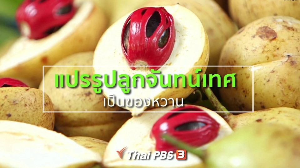 อาชีพทั่วไทย : แปรรูปลูกจันทน์เทศเป็นของหวาน