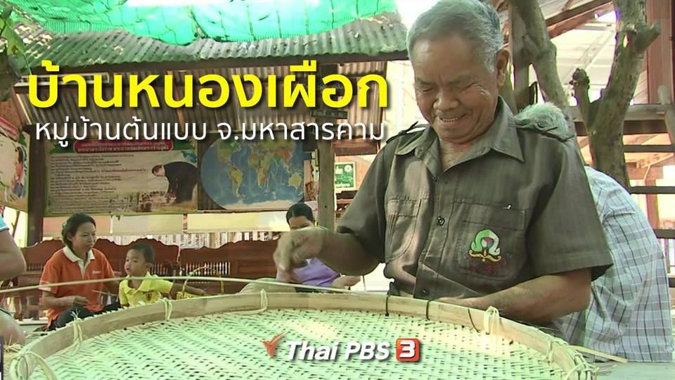 ชุมชนทั่วไทย : บ้านหนองเผือก หมู่บ้านต้นแบบ จ.มหาสารคาม