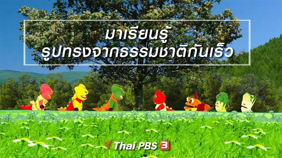 เกร็ดน่ารู้กับตาต้าตีตี้โตโต้ : มาเรียนรู้รูปทรงจากธรรมชาติกันเร็ว