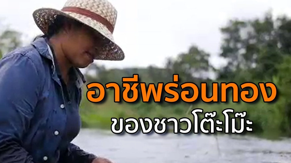 อาชีพร่อนทองของชาวโต๊ะโม๊ะ