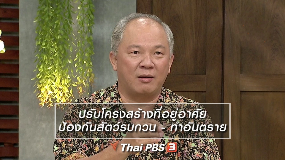 นารีสนทนา : ปรับโครงสร้างที่อยู่อาศัย ป้องกันสัตว์รบกวน - ทำอันตราย
