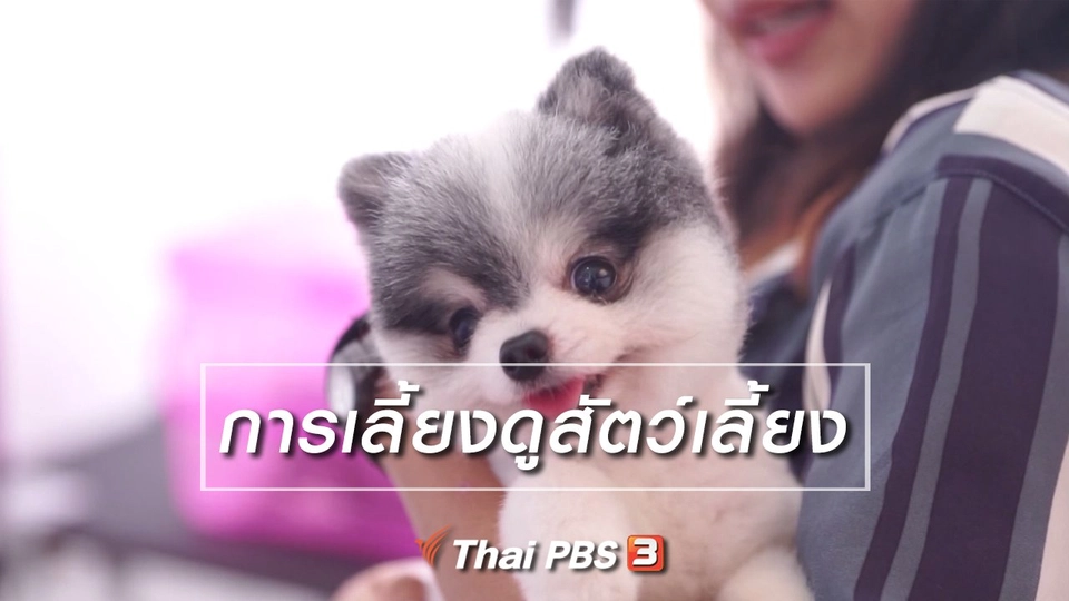 ห้องเรียนสูงวัย : การเลี้ยงดูสัตว์เลี้ยง