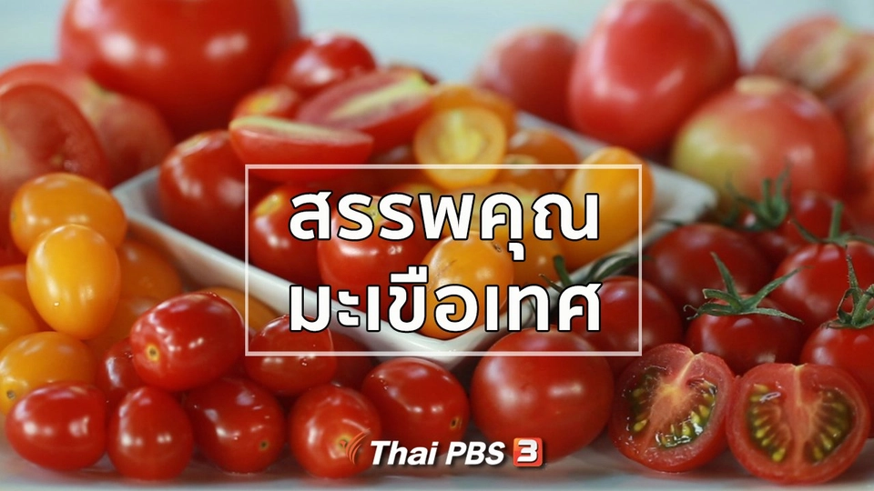 กินดี อยู่ดี กับหมอพรเทพ : สรรพคุณของมะเขือเทศ