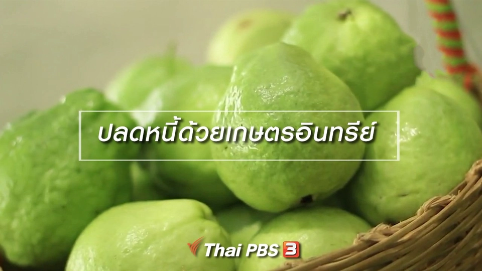 ผู้หญิงผู้สร้าง : ปลดหนี้ด้วยเกษตรอินทรีย์ (11 ต.ค. 61)