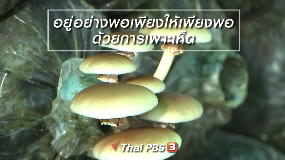 นารีสนทนา : อยู่อย่างพอเพียงให้เพียงพอ ด้วยการเพาะเห็ด (11 ต.ค. 61)