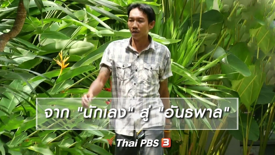 เพียงคำเดียว : จาก "นักเลง" สู่ "อันธพาล"