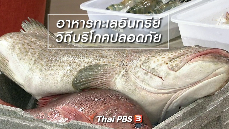 นารีสนทนา : อาหารทะเลอินทรีย์ วิถีบริโภคปลอดภัย