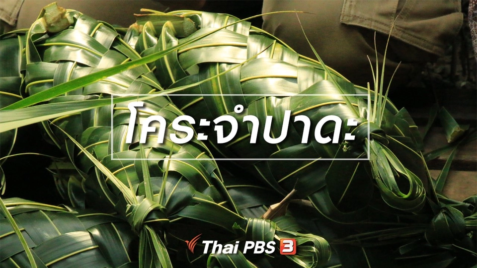 เรียนรู้วิถีไทย : โคระจำปาดะ