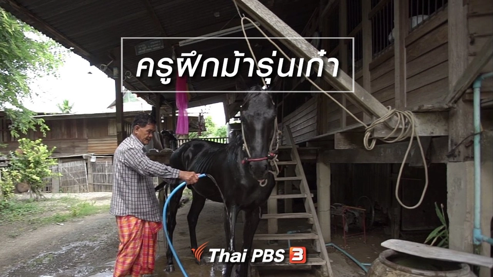 สูงวัยไทยแลนด์ : ครูฝึกม้ารุ่นเก๋า