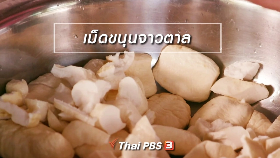 ตะลุยทั่วไทย : เม็ดขนุนจาวตาล