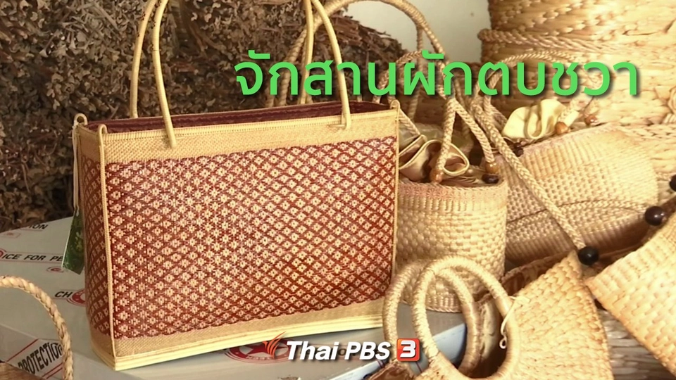 ชุมชนทั่วไทย : จักสานผักตบชวาไชยภูมิ