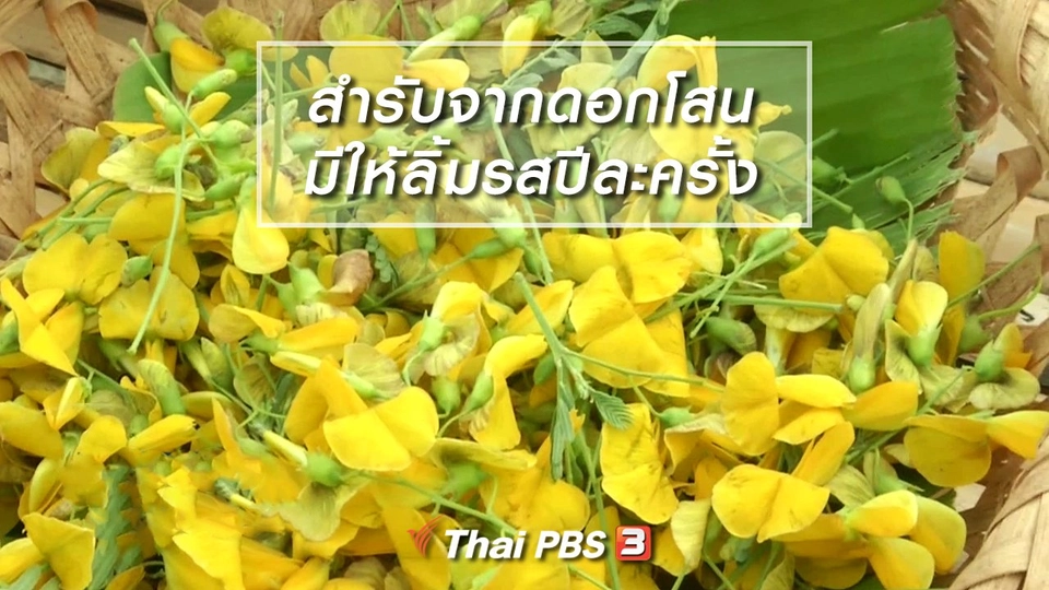 อิ่มมนต์รส : สำรับจากดอกโสน อาหารพื้นบ้านมีให้ลิ้มรสปีละครั้ง