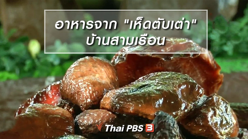 อิ่มมนต์รส : ภูมิปัญญาอาหารจาก "เห็ดตับเต่า" บ้านสามเรือน