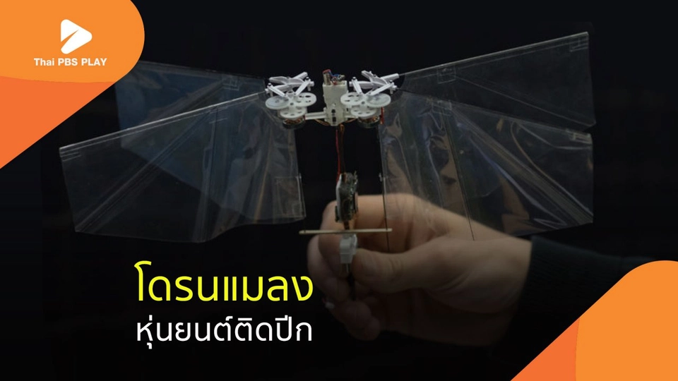 โดรนแมลง..หุ่นยนต์ติดปีก