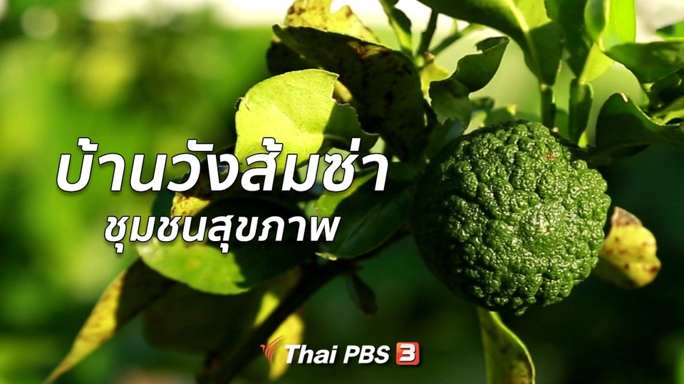 ปรับก่อนป่วย : ชุมชนสุขภาพ บ้านวังส้มซ่า