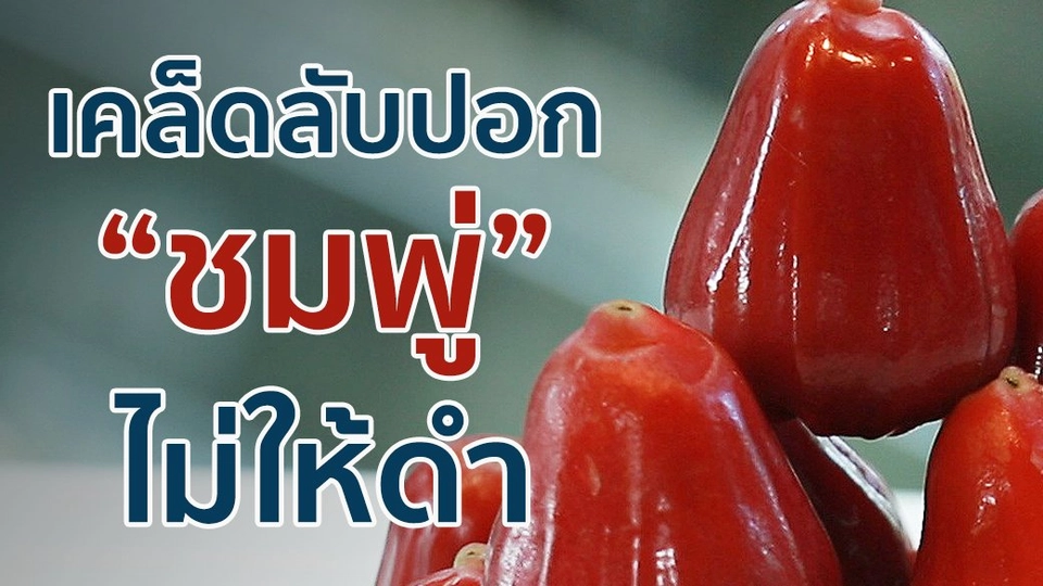 ปอกชมพู่อย่างไรไม่ให้ดำ