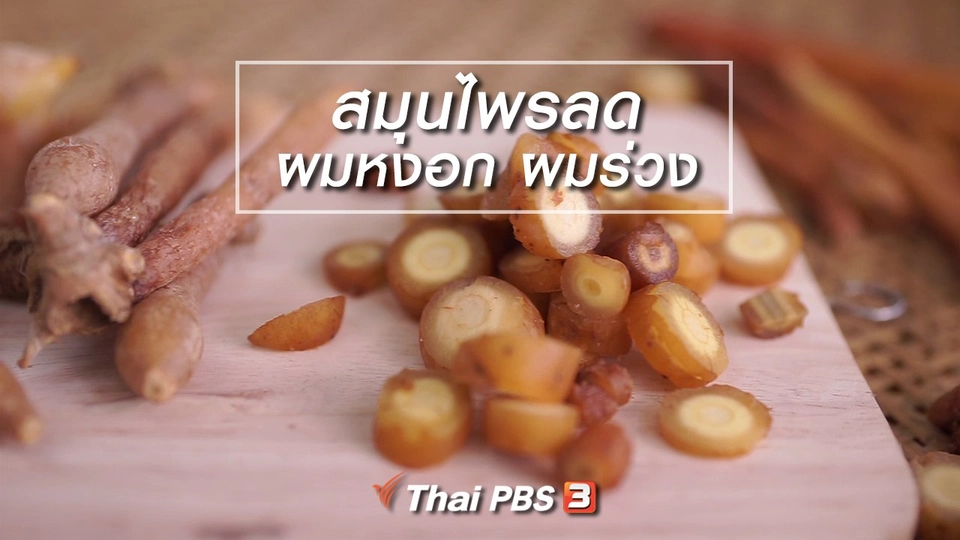 ห้องเรียนสูงวัย : สมุนไพรลดผมหงอก ผมร่วง