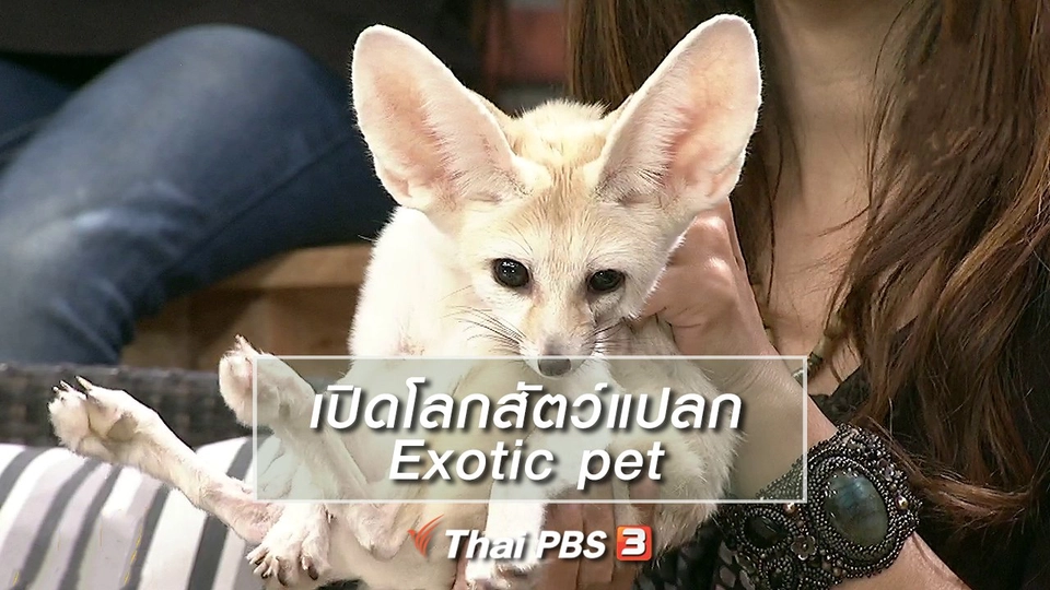 นารีสนทนา : เปิดโลกสัตว์แปลก Exotic pet