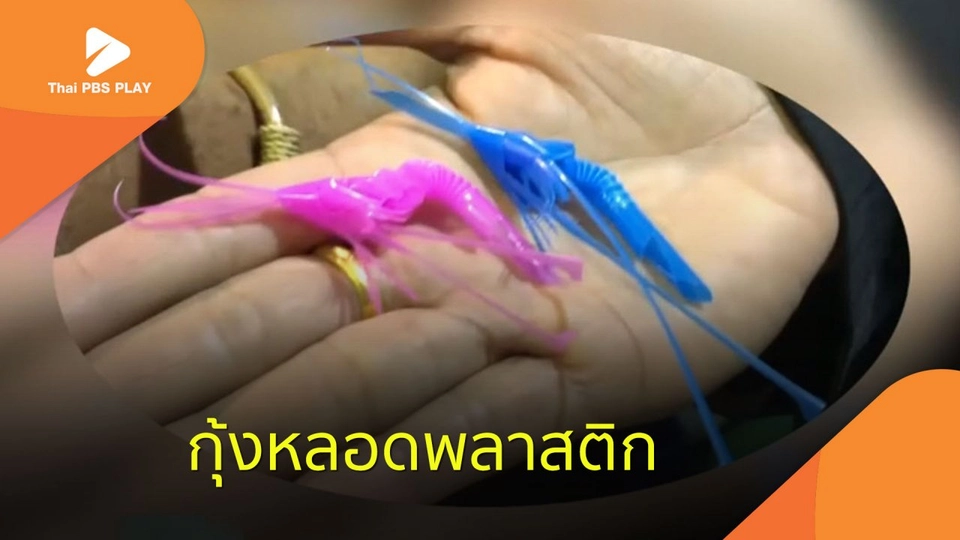 กุ้งหลอดพลาสติก